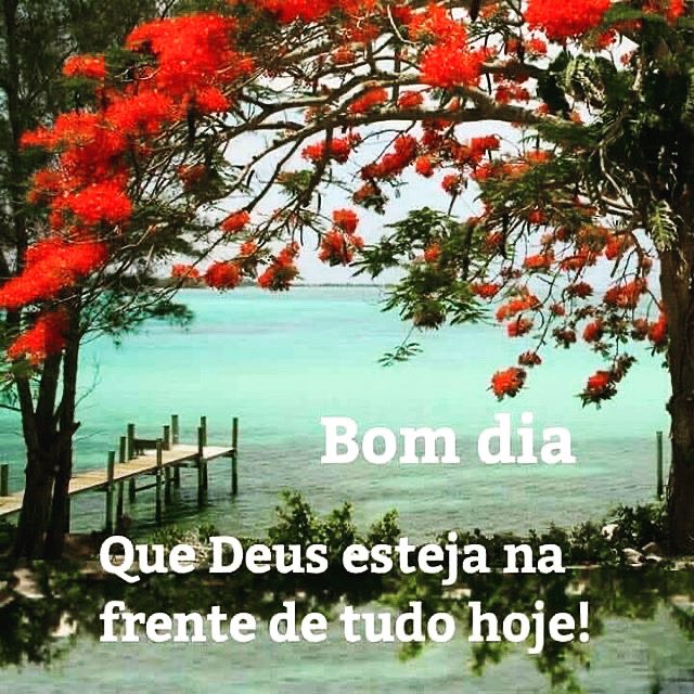 monicabulhoes's tweet photo. Bom dia povo lindo de Deus!!!
Não deixe de orar, a fé precisa ser alimentada com oração e prática da palavra de Deus. Não adianta só ler a Bíblia, é preciso crer e confiar!!!
#fé #confiança #determinação #terça #bomdia #BM100df #mb100df https://t.co/6wv2cRPvux