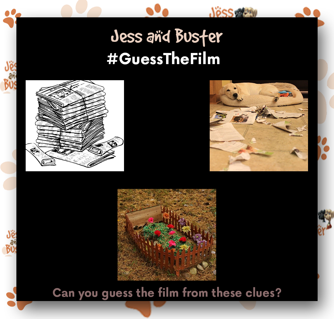 BusterJess's tweet image. Jess and Buster love watching films with other dog characters in them! 🐾 Can you guess the well-known popular film from the three clues? 

P.S: This film is real tearjerker.  😭

Let us know your guesses in the comments below. #guessthefilm #films #game #dogs