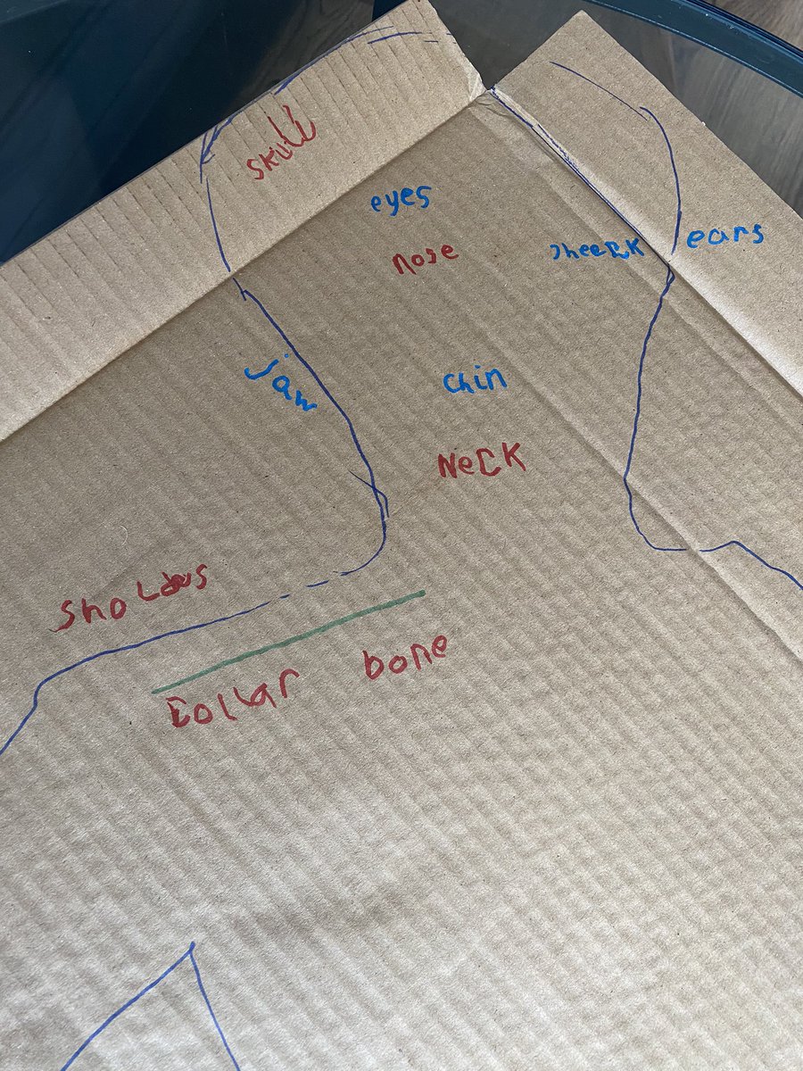 Kayleigh3649's tweet photo. After Millie broke her leg Zak was eager to learn about bones ,so we drew around him and labelled as many bones and body parts that he knew. @MillfieldHT @MillfieldPS https://t.co/WN44HH9H2f