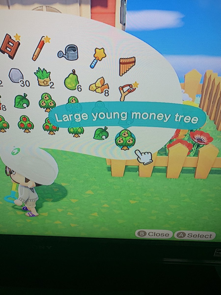 Just found my new rap name 🤑#AnimalCrossingNewHorizons
