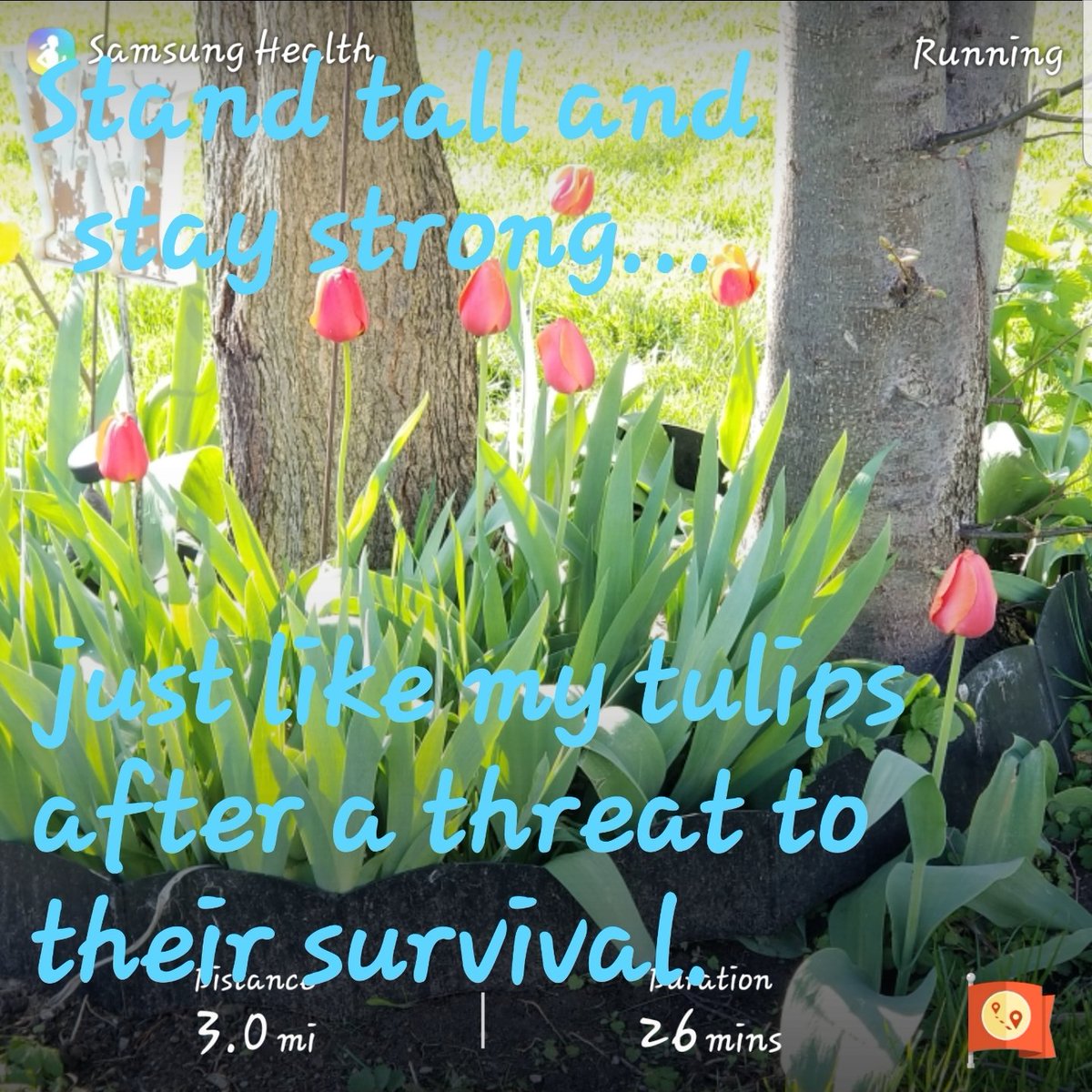 wrightnl's tweet photo. A lesson learned from nature. #DragonStrong #wrighttalk https://t.co/OQOXCQbVaA