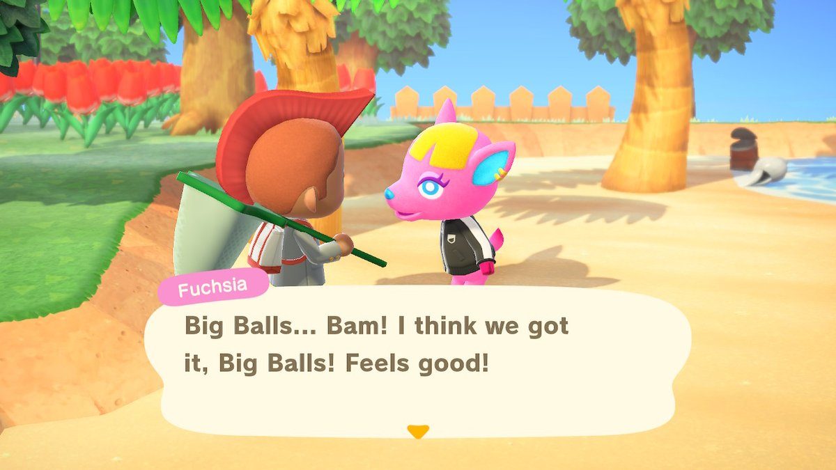 crossing_joey's tweet photo. Big Balls! #AnimalCrossing #ACNH #NintendoSwitch https://t.co/Wm5PfO5M9a