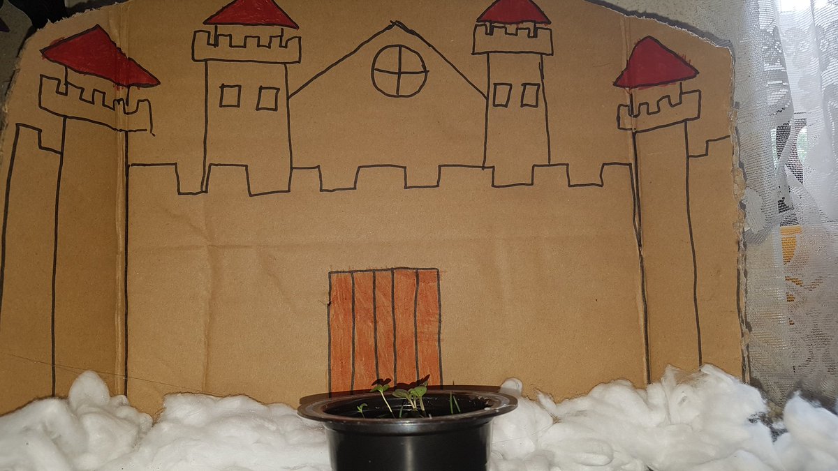 gemroseh's tweet photo. Jack and the beanstalk project @MeynellSchool https://t.co/n2nWfuzJYJ