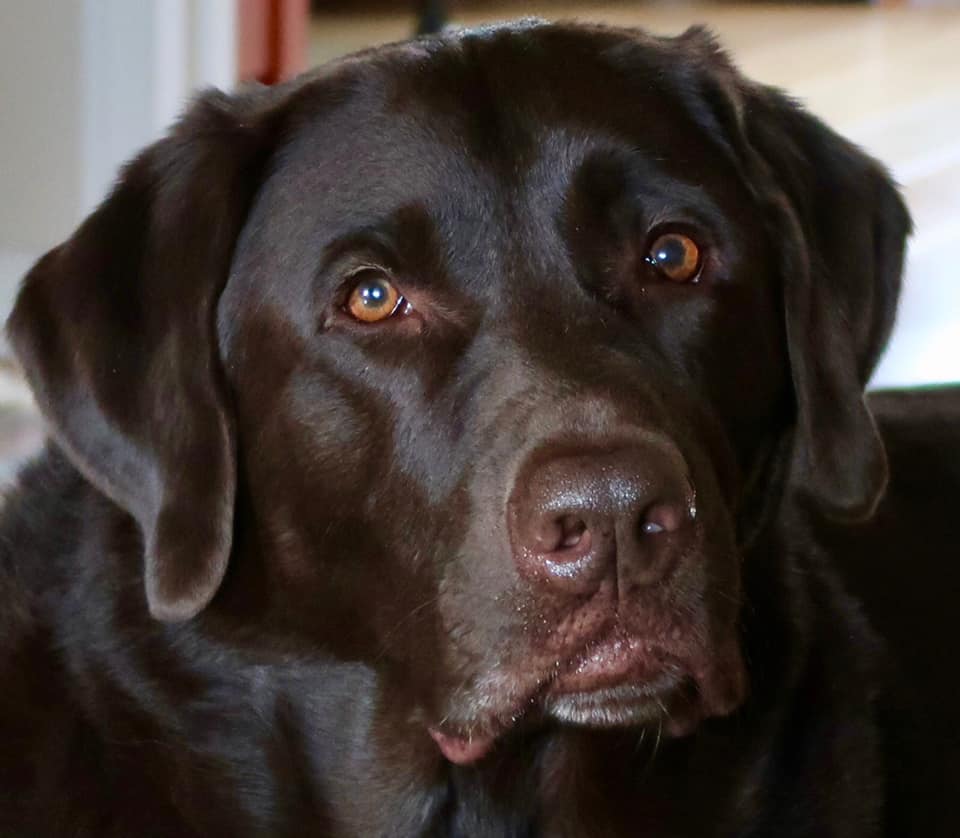 Thank goodness for Willie.  Helping to keep us all grounded.