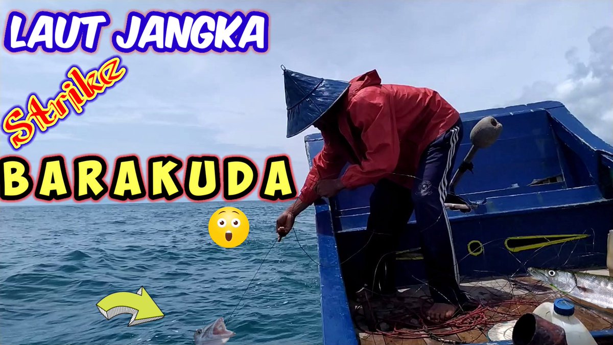 MuzakkirSmart's tweet photo. Strike BARACUDA..
https://t.co/beyTsj8cRg
#fishing
#FishingTunaAceh
#fish
#fishinglife
#fishing🎣
#fishingislife
#fishingnets
#tonyto https://t.co/fVTBEy6PW5