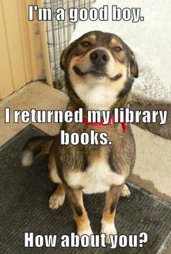 NISDLibraryServices tweet media