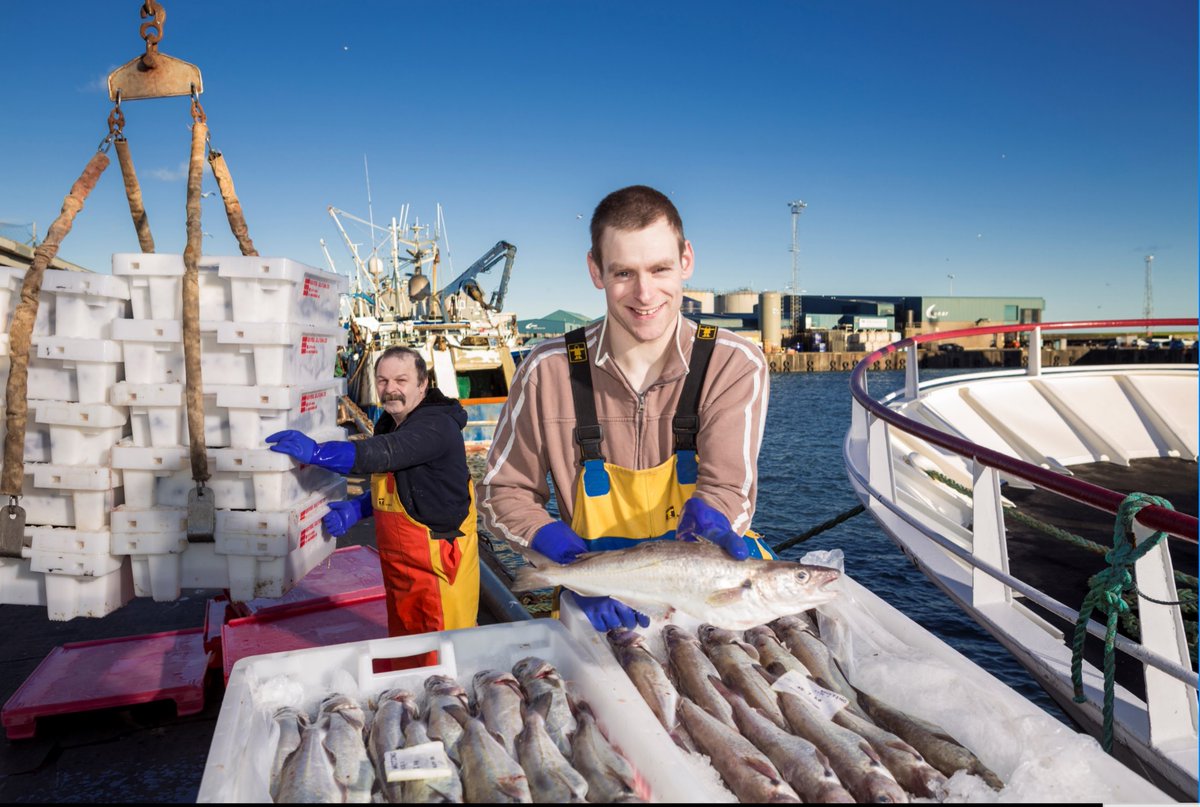 SeafoodFromScot tweet picture