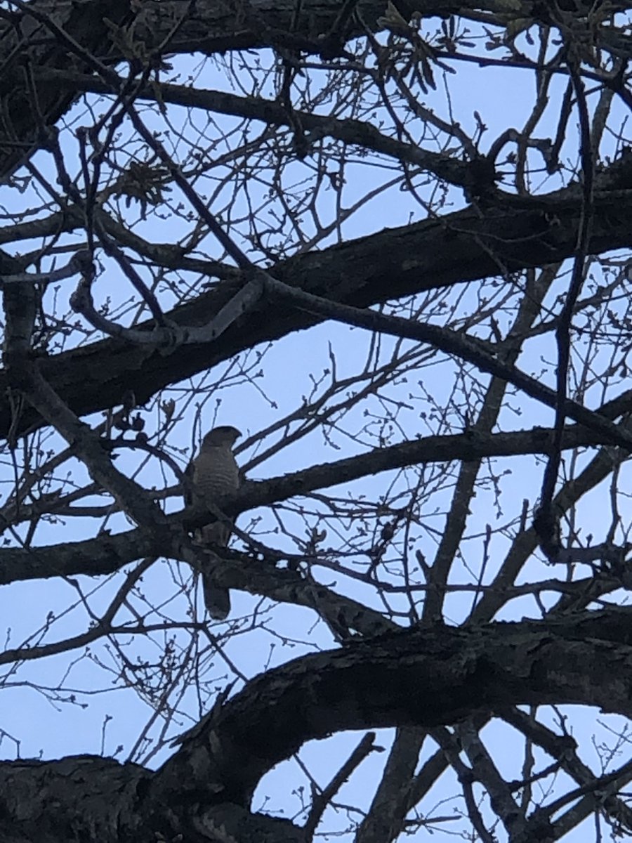 Ed Miller🧬🔬 tweet media