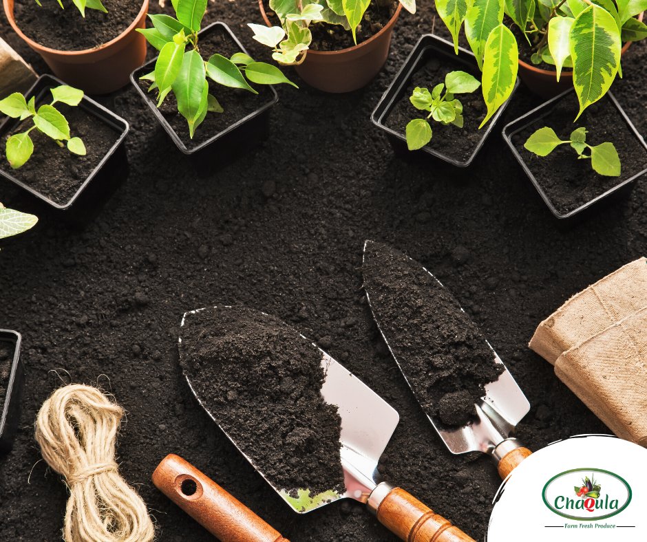 Chaqulalimited's tweet photo. 20 Gardening Hacks That Will Blow Your Mind!! Easy DIYs and Life Hacks by Blossom
https://t.co/c6clpq8Vmn
#Kenya #azzaid https://t.co/R0nsJkjyXx
