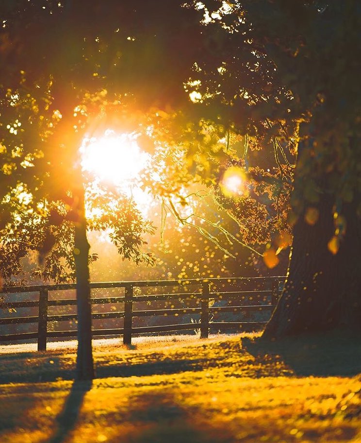 LyrathEstate's tweet photo. The sun will shine again. โ๏ธ #5star #luxury #killenny #ireland #irishestate #5starhotel #experiencetheunforgettable #irelandsancienteast ๐ธ Photo by @diltakesphotos https://t.co/pAPUHW6NeC