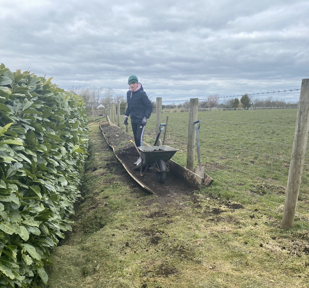 pattieoboyle's tweet photo. My youngest lockdown buddy’s Covid garden project from March to now
Gorgeous fresh spinach &amp; rocket ready for eating. Spuds, onions &amp; scallions coming along nicely 
#TuesdayMotivation #TYStudent https://t.co/hLh0BsFY8q