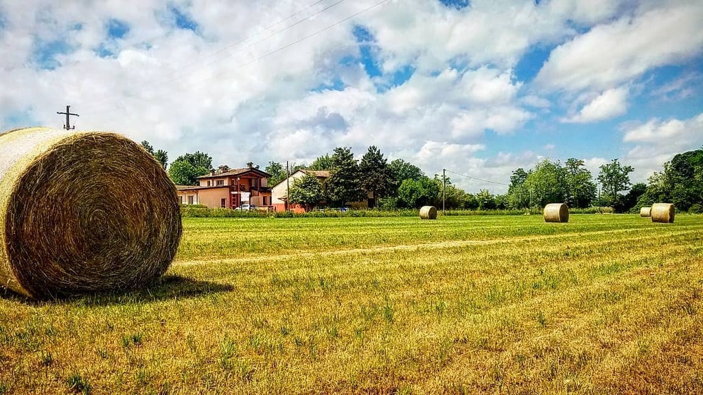 Viantiqua's tweet photo. L'agricoltura è un'arte basata sull'alleanza tra uomo e natura.
*
Noi diciamo NO ai mangimi, agli #OGM e ai grassi idrogenati.
Alleviamo #animali alimentati con soli foraggi e cereali aziendali della “VAL #STIRONE”, in conversione biologica nel pieno ris… https://t.co/mkWPflam5M https://t.co/9JSWM2Zy5g