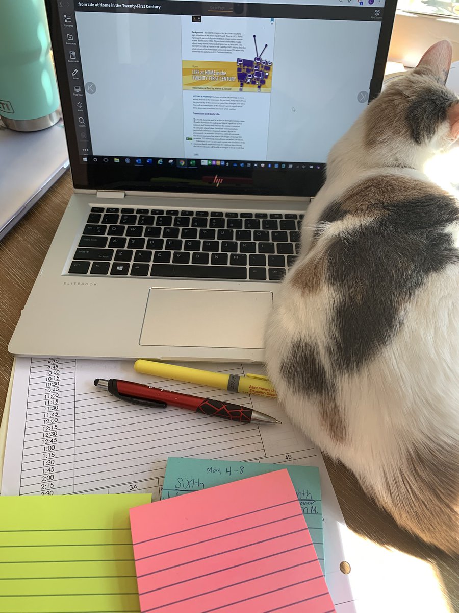 Lauren Behringer tweet media