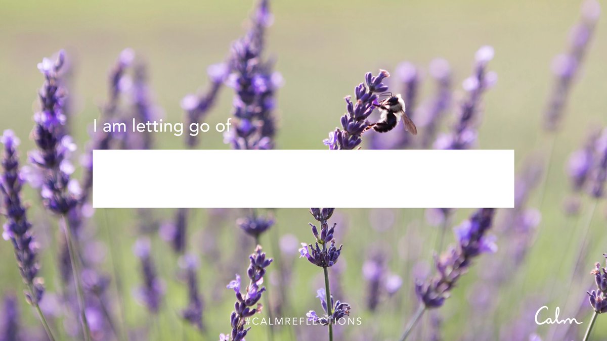 calm's tweet photo. 🌼 What will you gain from letting go? #CalmReflections https://t.co/dEuUJlDgVk