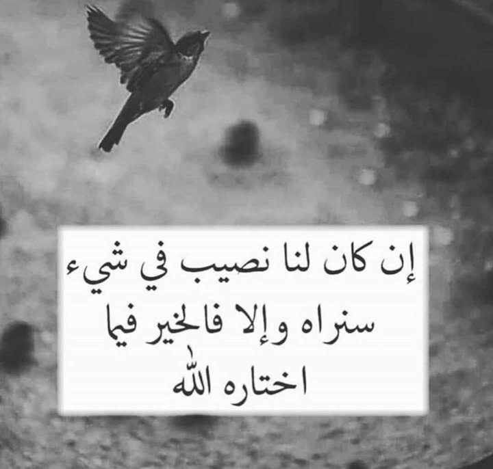 Na45465349's tweet photo. https://t.co/jk92J6GuZS