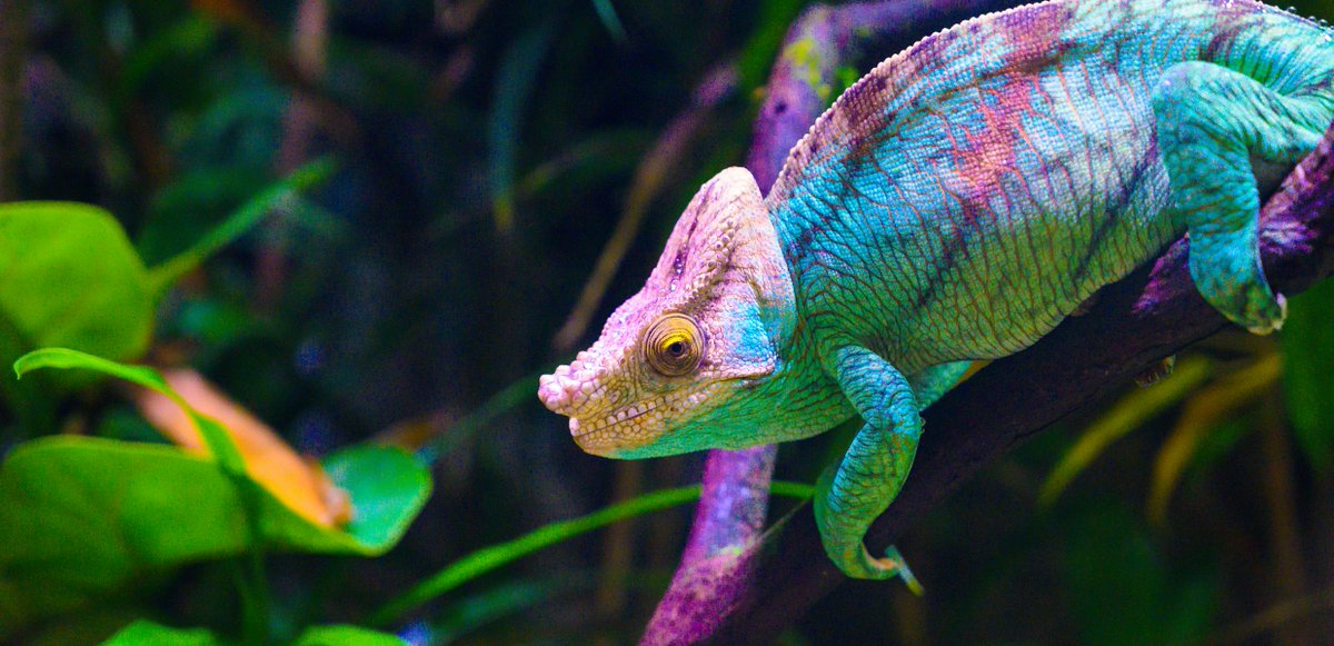 LetsGoProcess's tweet photo. AGILES #PROJEKTMANAGEMENT–Kulturwandel durch #Scrum, #Kanban &amp; Co? Unter welchen Voraussetzungen können #agile Systeme erfolgreich sein? Der Blog beschreibt: Risiko wie Erfolg in agilen Projekten gehen vom Faktor Mensch aus. #Transformativer #Kulturwandel! https://t.co/0gCwjFJSRc https://t.co/1e99ifWaep