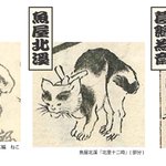 main image of this resource
