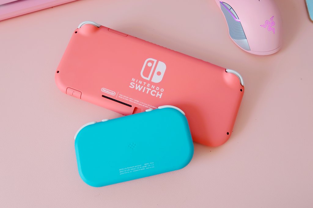 KikiVonBubbles's tweet photo. The cutest duo @8BitDo #NintendoSwitch #CoralSwitchLite https://t.co/L8CdEkJqPN