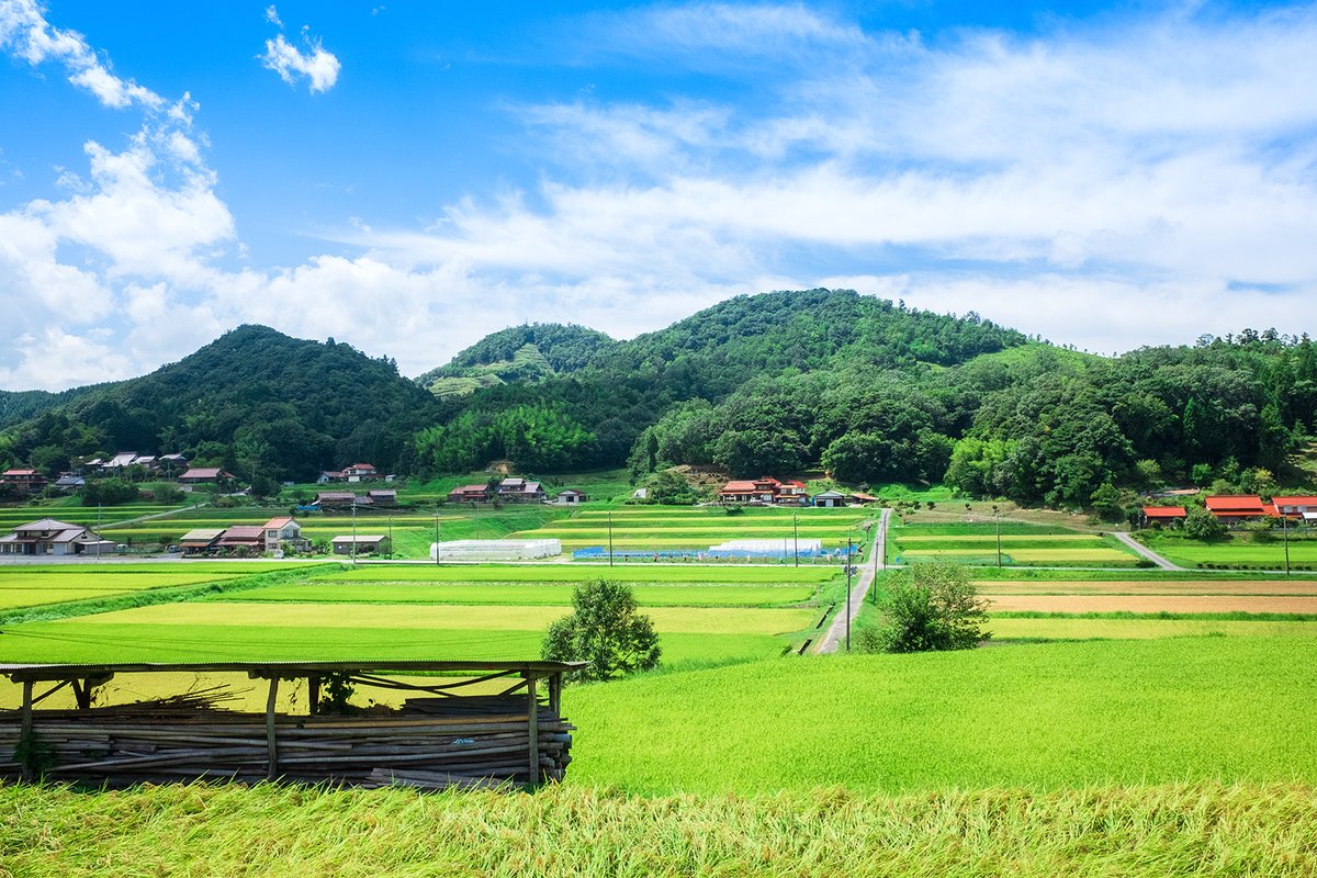 青空 夏の田舎風景