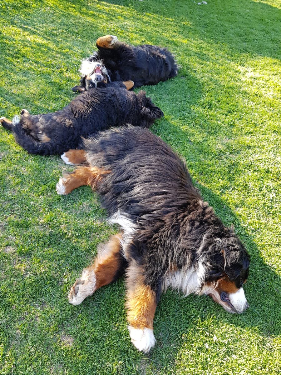 Maria Ovaska tweet media