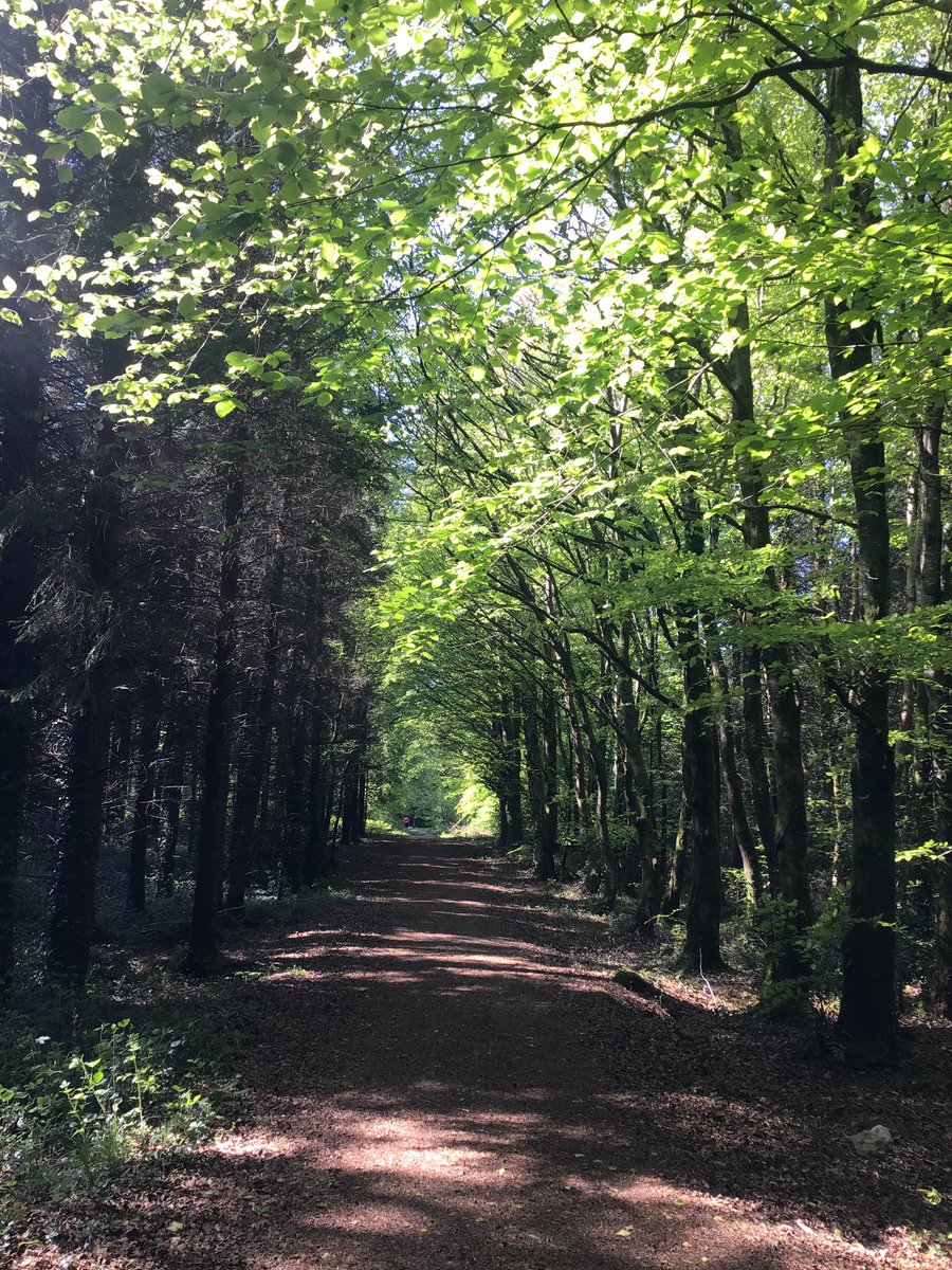 Network Insight tweet media