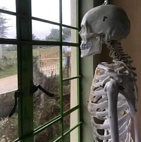 Shkhncls's tweet photo. Me waiting for normal days to come https://t.co/27lA06Hgz9