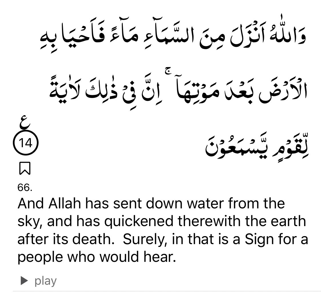 The Holy Quran talks about religion/revelation as water descending from clouds leading to greenery and spring (16:66)...2/
