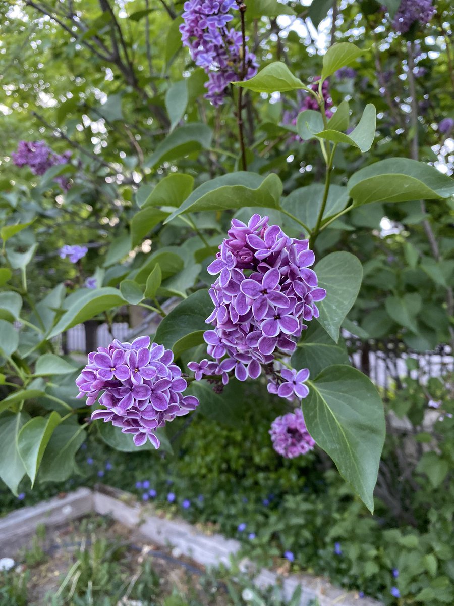 New growth at this time of year is always welcomed.