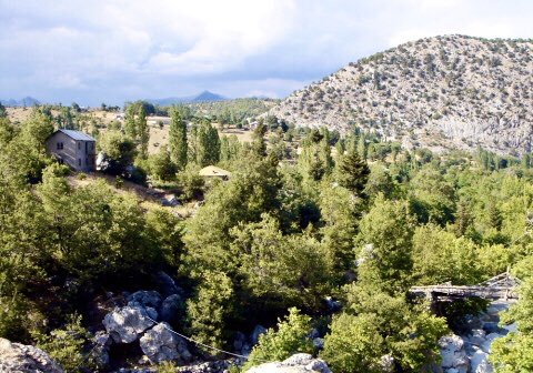 LUMBERJACK（ランバージャック） tweet media