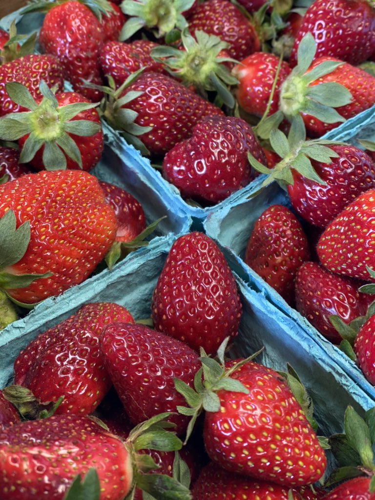 🍓Riddleton, TN strawberries are here!
We are open 9 AM — 3 PM. The first hour of business is reserved for those with compromised immune systems and +65 years old.🍓
#strawberries #riddleton #produceplace