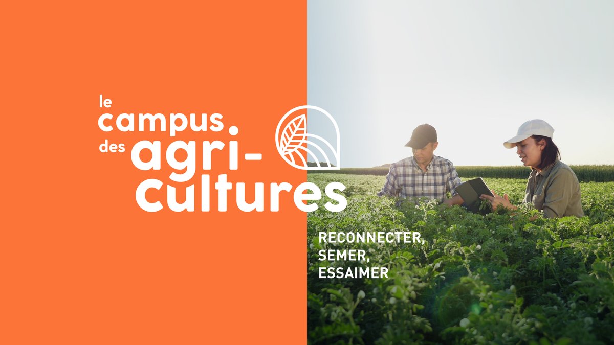 🌱🐮♻ Le Campus des Agricultures, nouvelle plateforme au service des transitions #agriculture #mécénat
👉 4 thèmes : #Alimentation et #santé, Bien-être animal, Digital, #agroécologie
👉 4 projets : Diversité, Innovations, International, #Entrepreneuriat
bit.ly/35NaI4z