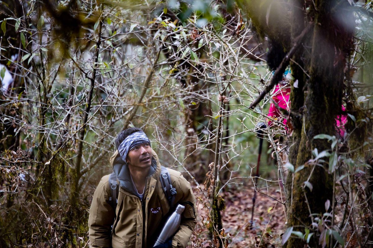 RedPandaNetwork's tweet photo. Forest Guardians not only patrol red panda habitat, monitor the species' population and educate their communities. Many of these local people are also trained as nature guides and help lead our ecotrips in Nepal! https://t.co/CiRy3qgEw1 https://t.co/7jsWcZ740b