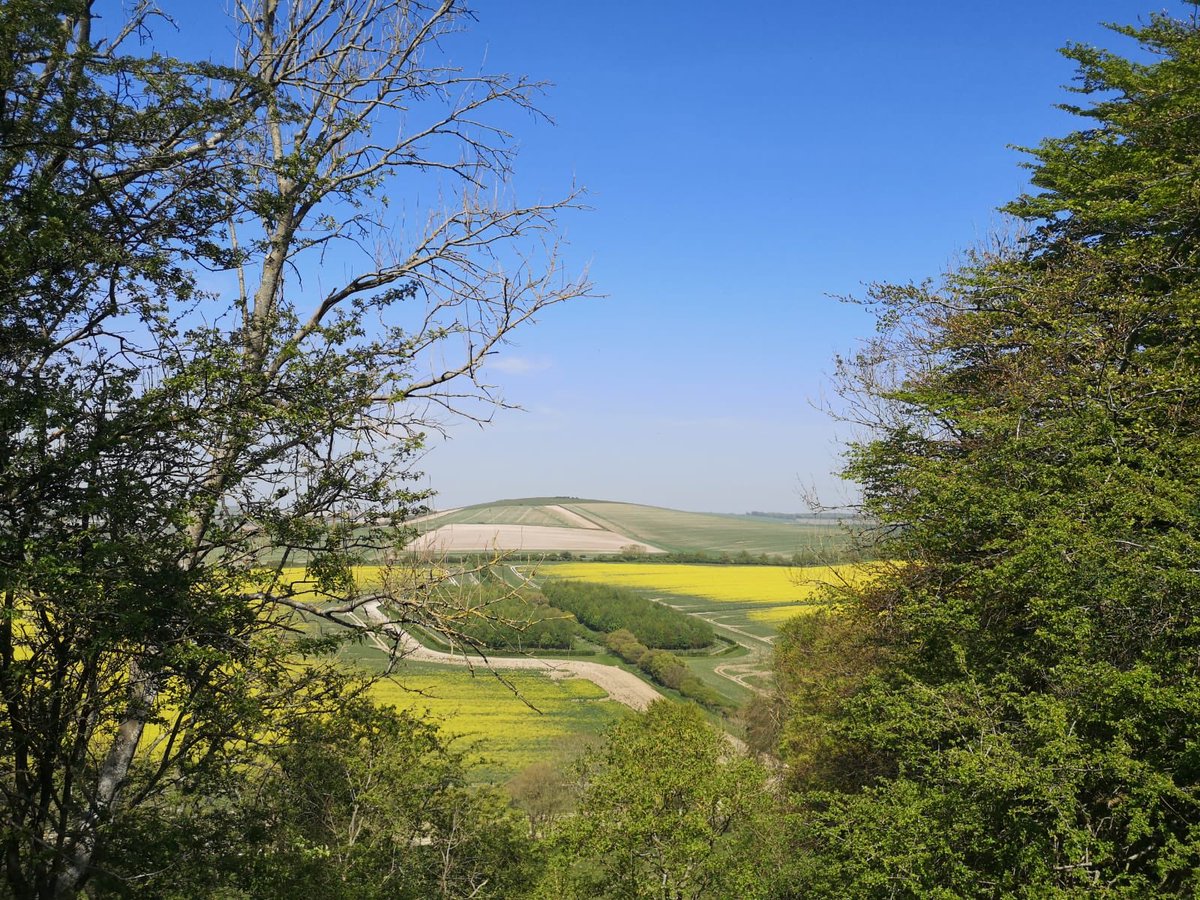 CESschools's tweet photo. Loving these photos from Tom at #CESWorthing! How nice does Spring look there?? What’s it like where you live? Tag us in your photos! 😀📸☀️🌸🌻💐 https://t.co/bo5RHfz7w4