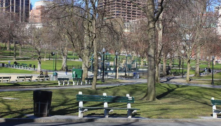 FOPG's tweet photo. Sunny and a bit chilly on #BostonCommon. #FeelslikeApril #SharingSpring TY@GeneBolinger 📸 https://t.co/IZwVOsCSfk
