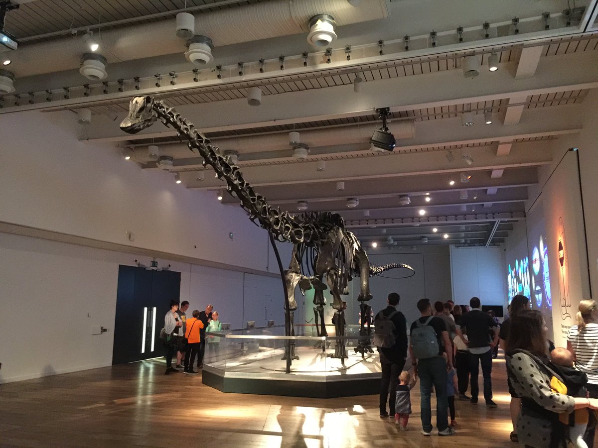 face_collie's tweet photo. @NHM_London Last year in Newcastle. https://t.co/duKtl5HOC8