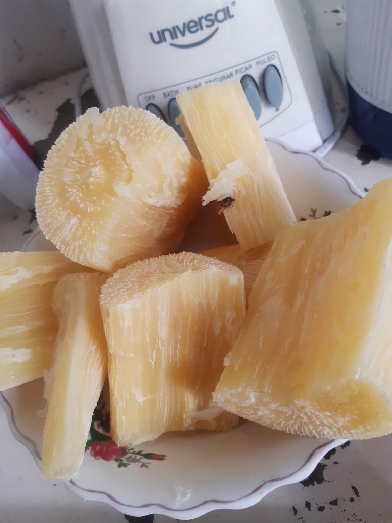 culturafutcol's tweet photo. Que tristeza, me salió la yuca mala.

(Pero no son penas, ya puse a cocinar unos guineos verdes) https://t.co/kcsC2RKk0L