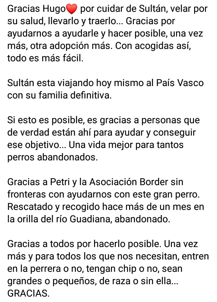 Batallon_Merida's tweet photo. Hoy nos despedimos de Sultán que está de camino al País Vasco. Y queremos agradecer a Hugo, su casa de acogida, todo lo que ha hecho por él ❤. Y muchas gracias a Petri y la aso Border sin fronteras, por ayudar a movilizar todo.
#AdoptaNoCompres 
#BatallónPerruno https://t.co/Wi7ADo49uT