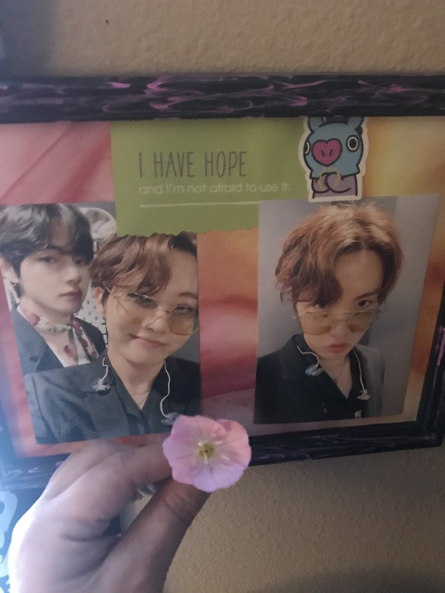 BTS_is_my_CURE's tweet photo. #BTS_twt #bts_jhope #JHOPE #BTSxCottonBowl_d1 #BTSxCottonBowl_d2 #BTSxArmy #BTS 

I felt well enough to walk my dogs this morning and found a lovely buttercup, just for you! I💜u! Have a beautiful day! 

#cancerwarrior #btsxtexas https://t.co/haS825k8FA