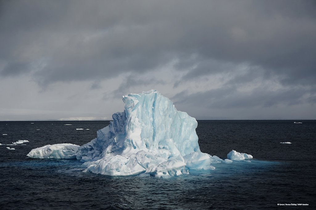 WWF_Arctic's tweet photo. Please listen to the science @NorwayMFA and STOP the expansion of #Arctic drilling into the vulnerable Marginal Ice Zone for more oil that the world just doesn’t need. Protect the sea ice edge so nature can thrive. #SaveTheIceEdge >> https://t.co/3solTKRBuR https://t.co/tMWxYdO128