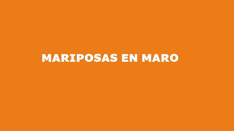 maronosetoca's tweet photo. ¡No permitiremos que se destruya el hábitat de la fauna de Maro! 

#MaroNoSeToca #SalvemosMaro #NoalPlanLarios https://t.co/sonsyE6uER