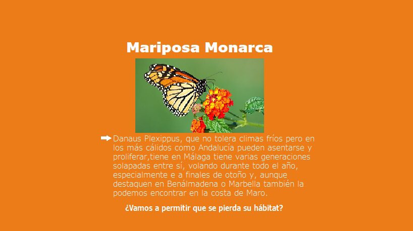 maronosetoca's tweet photo. ¡No permitiremos que se destruya el hábitat de la fauna de Maro! 

#MaroNoSeToca #SalvemosMaro #NoalPlanLarios https://t.co/sonsyE6uER