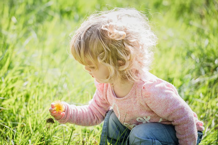 Spring! Dandelions! 
Check out the new set of home STEM activities about plants and their parts.  Go out, collect, sort, sing, and model! 🌿🌱🌾
…2-4de2-a189-cc8e2fbf2f60.filesusr.com/ugd/9e9596_eb1…  

<a href="/WPI/">WPI</a> <a href="/WPISTEMCenter/">WPI STEM Ed. Center</a> <a href="/WorcHeadstart/">Worcester Head Start</a>