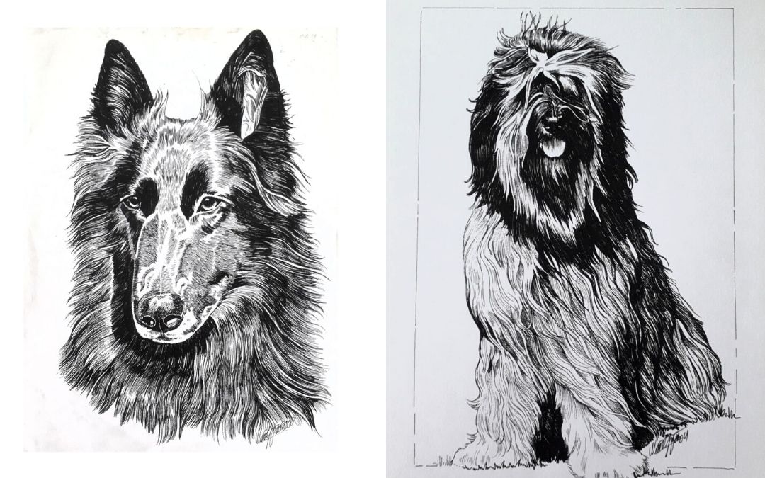 DutchCellDogs's tweet image. CADEAU! Wij zijn blij met iedere hulp. Groot of klein. Maar mocht je als donateur iets meer kunnen missen, dan hebben wij nu een uniek welkomstgeschenk! Een portret van jouw hond! Word donateur (vanaf €20 p.m.) en ontvang jouw eigen tekening Klik hier: shorturl.at/blJP0