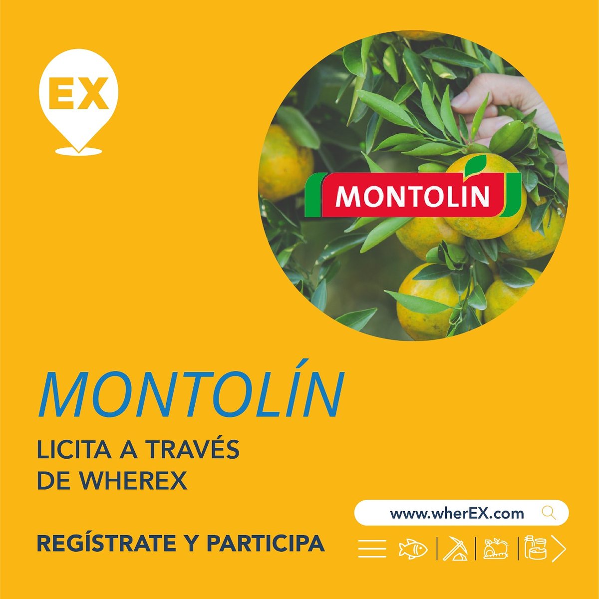 Si quieres conocer los #requerimientos de Agrícola Montolin ingresa a wherEX.com Esta empresa productora y exportadora de frutas ya está licitando sus insumos y servicios a través de nuestra #plataformadigital #B2B