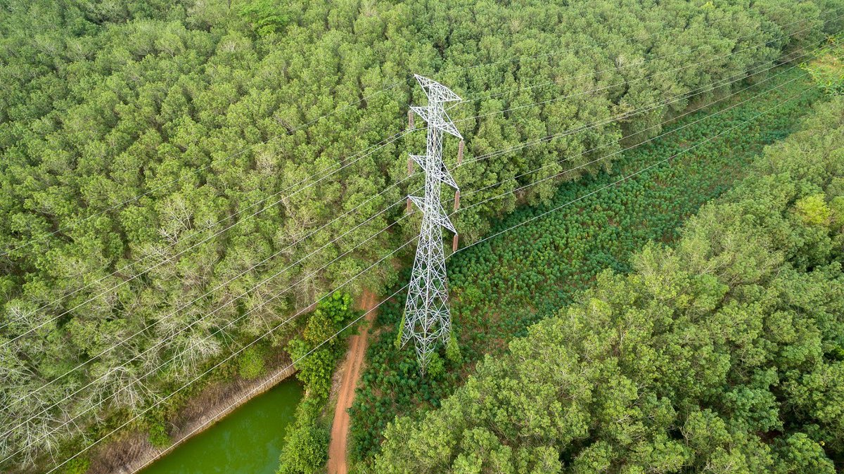 overstoryai's tweet photo. Vegetation management is crucial for mitigating wildfires and power outages. In this article our co-founder Anniek Schouten describes the role of #AI and satellite data in vegetation management for electric utilities. #planetintelligence #ClimateChange
https://t.co/E2TNv2TKKz https://t.co/QrhIkKtPT3