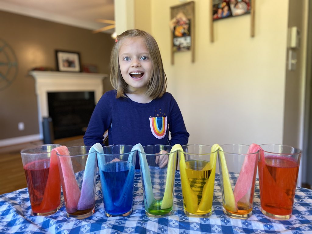 LacyESLions's tweet photo. Need a change in weather? Our amazing Kindergarten teachers  have been creating remote lessons all about it!  A rainbow at home should brighten anyone’s day! @SherriMiller06 @JelynnC @WCPSS @CentralWCPSS #lacylionsinaction https://t.co/dCISMVazKh