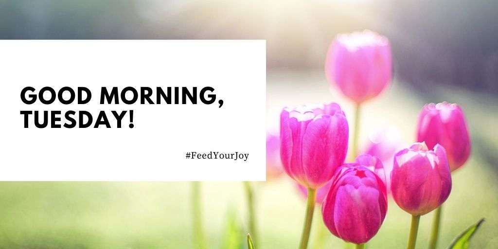 CCWCFresno's tweet photo. Monday didn't go so smoothly? Hit the reset button and let's try this again! Good morning, beauties! #FeedYourJoy https://t.co/C8PQCqllYV