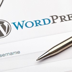P_Turner7's tweet image. "Two #WordPress Plugin Bugs Expose Over One Million Sites."
👾If an attacker is able to trick an admin into clicking on a phishing link, they could gain full remote control of the site.⚠️
Read the below article to know more.👇👇👇
buff.ly/2yHexw6 #infosec #CyberSec