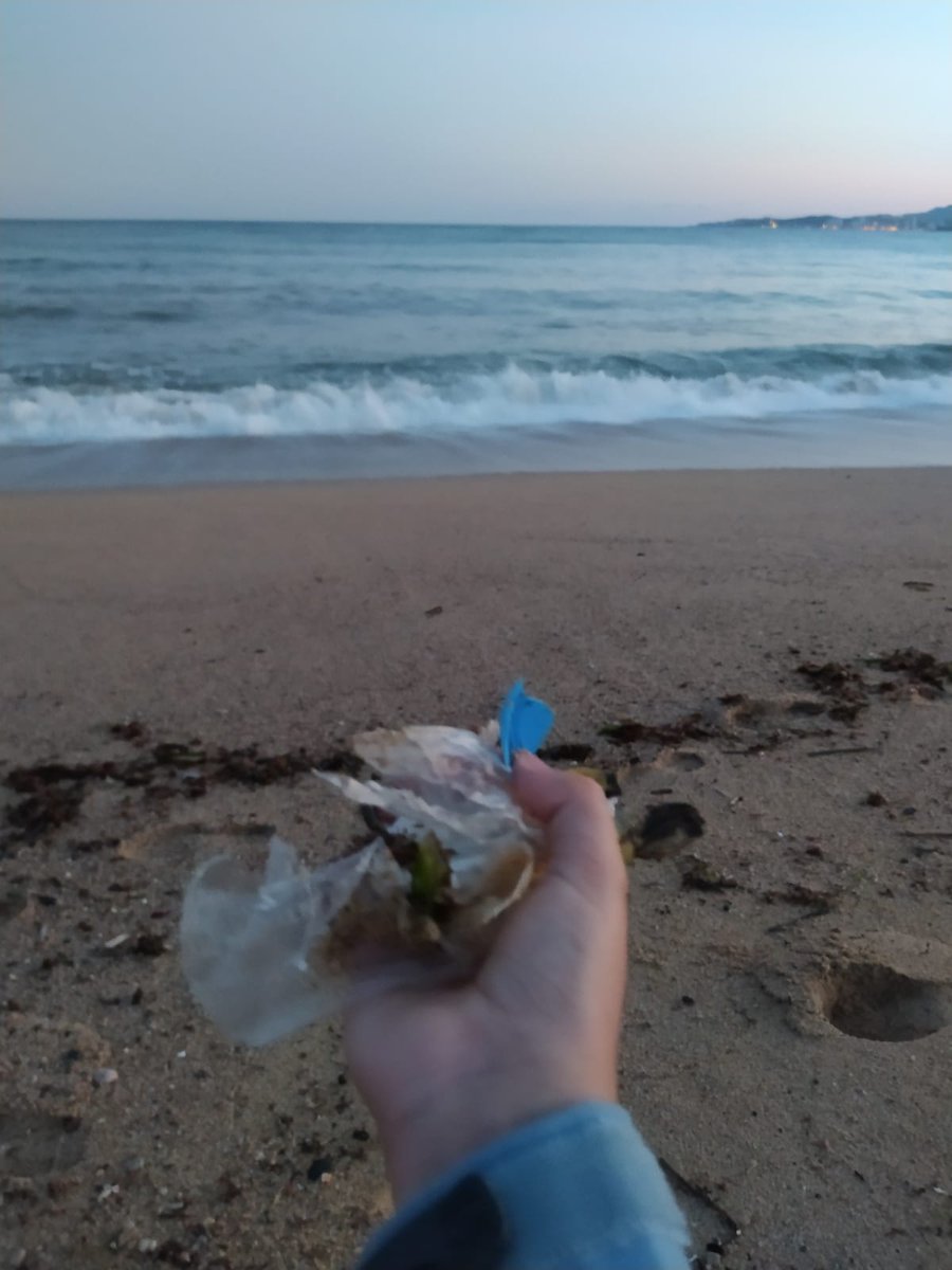 BcnPloggingCong's tweet photo. En un moment en que la natura ha pogut respirar tranquil•la, el mar segueix tornant-nos allò que no li correspon...Fer plogging, una manera diferent de fer esport, cuidant del nostre cos i del planeta! #plogging #goplogging #ploggingday #esport #salut #mediambient #environment https://t.co/N33cxCGEfC