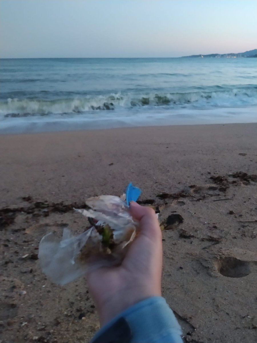 BcnPloggingCong's tweet photo. En un moment en que la natura ha pogut respirar tranquil•la, el mar segueix tornant-nos allò que no li correspon...Fer plogging, una manera diferent de fer esport, cuidant del nostre cos i del planeta! #plogging #goplogging #ploggingday #esport #salut #mediambient #environment https://t.co/N33cxCGEfC